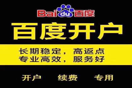 竞价推广策略：某电商平台的成功之路